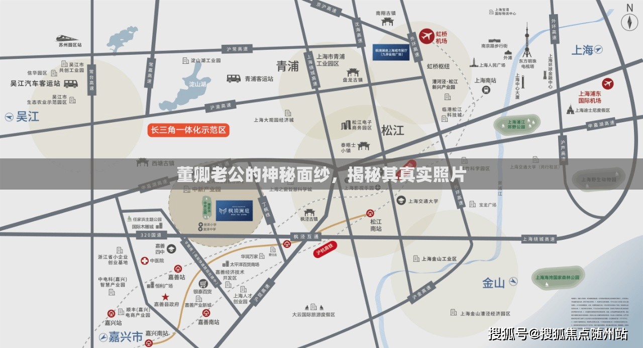 董卿老公的神秘面紗，揭秘其真實(shí)照片