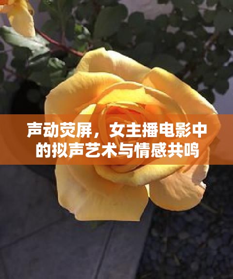 聲動熒屏，女主播電影中的擬聲藝術(shù)與情感共鳴