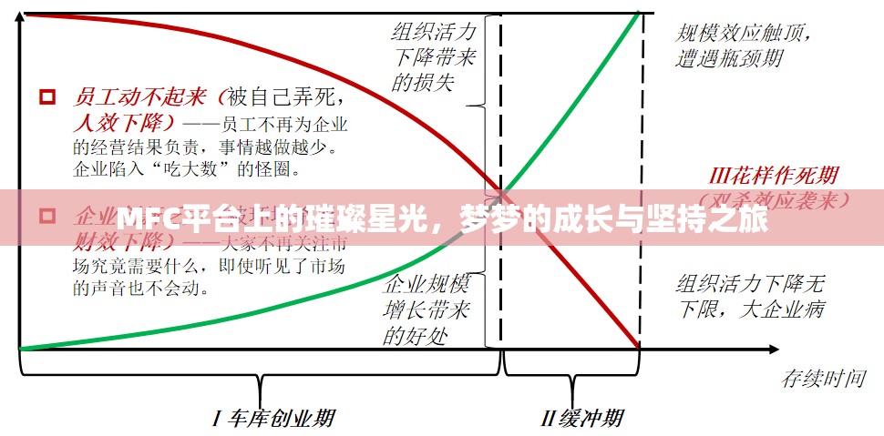 MFC平臺(tái)上的璀璨星光，夢(mèng)夢(mèng)的成長(zhǎng)與堅(jiān)持之旅