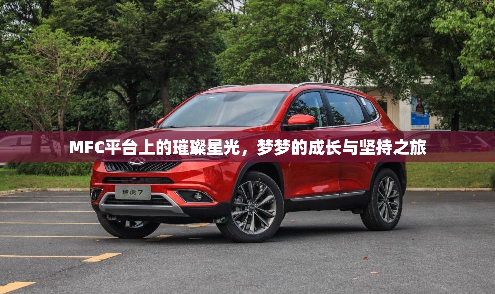 MFC平臺(tái)上的璀璨星光，夢(mèng)夢(mèng)的成長(zhǎng)與堅(jiān)持之旅