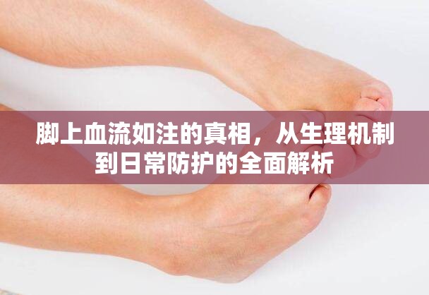 腳上血流如注的真相，從生理機制到日常防護的全面解析