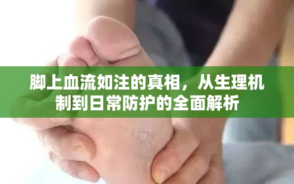 腳上血流如注的真相，從生理機制到日常防護的全面解析