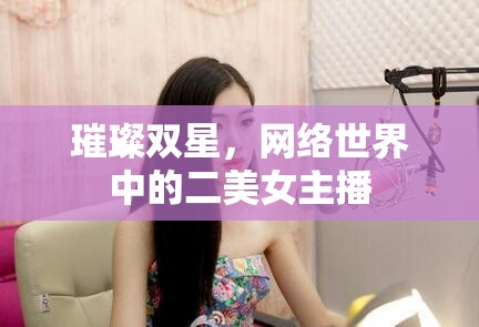 璀璨雙星，網(wǎng)絡(luò)世界中的二美女主播