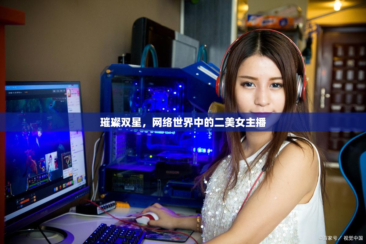 璀璨雙星，網(wǎng)絡(luò)世界中的二美女主播