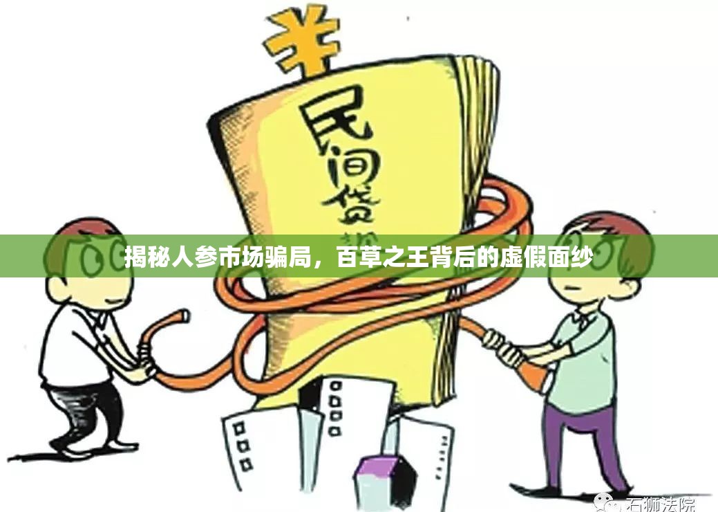 揭秘人參市場騙局，百草之王背后的虛假面紗