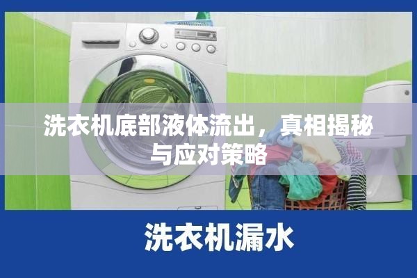 洗衣機(jī)底部液體流出，真相揭秘與應(yīng)對(duì)策略