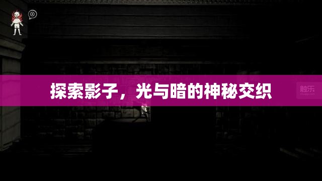 探索影子，光與暗的神秘交織
