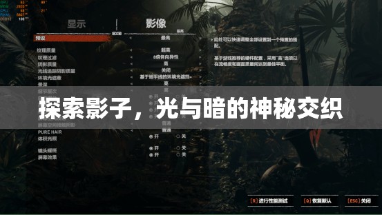 探索影子，光與暗的神秘交織