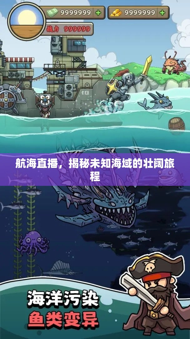 航海直播，揭秘未知海域的壯闊旅程