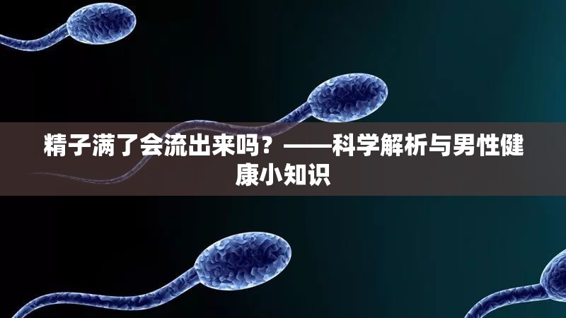 精子滿了會流出來嗎？——科學(xué)解析與男性健康小知識