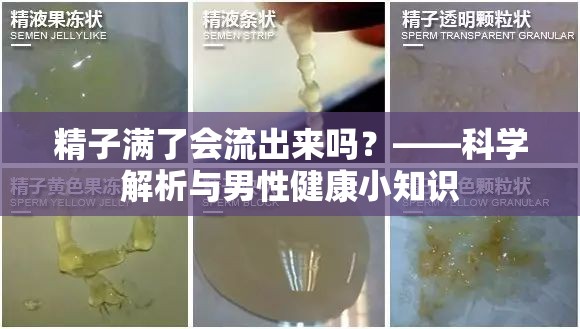 精子滿了會流出來嗎？——科學(xué)解析與男性健康小知識