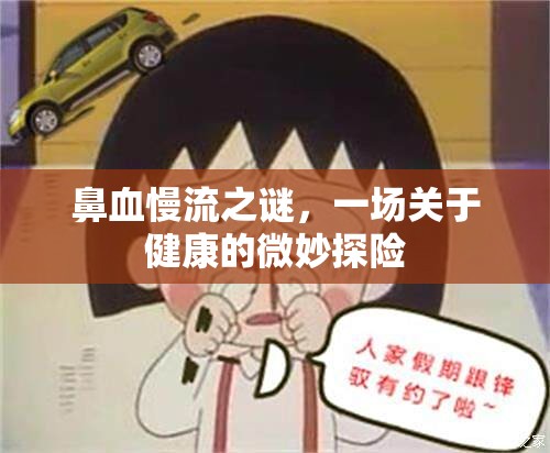 鼻血慢流之謎，一場(chǎng)關(guān)于健康的微妙探險(xiǎn)