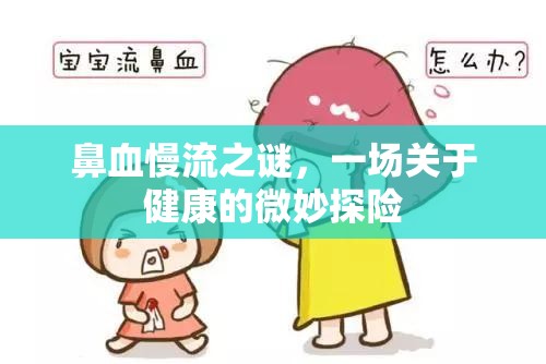 鼻血慢流之謎，一場(chǎng)關(guān)于健康的微妙探險(xiǎn)
