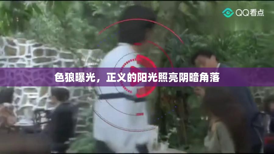 色狼曝光，正義的陽光照亮陰暗角落