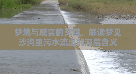 夢境與現(xiàn)實的交錯，解讀夢見沙溝里污水流出的深層含義