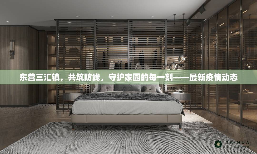 東營三匯鎮(zhèn)，共筑防線，守護(hù)家園的每一刻——最新疫情動態(tài)