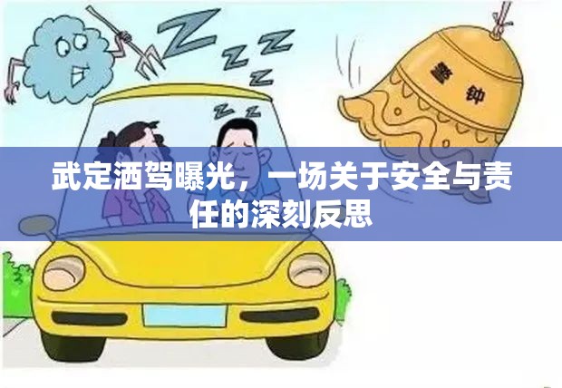 武定灑駕曝光，一場(chǎng)關(guān)于安全與責(zé)任的深刻反思