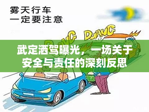 武定灑駕曝光，一場(chǎng)關(guān)于安全與責(zé)任的深刻反思