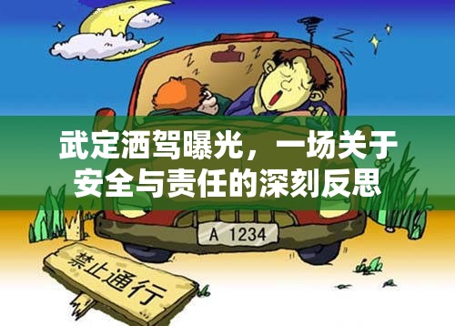 武定灑駕曝光，一場(chǎng)關(guān)于安全與責(zé)任的深刻反思