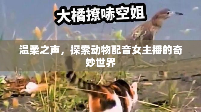溫柔之聲，探索動物配音女主播的奇妙世界