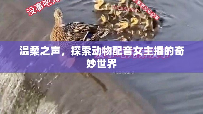 溫柔之聲，探索動物配音女主播的奇妙世界