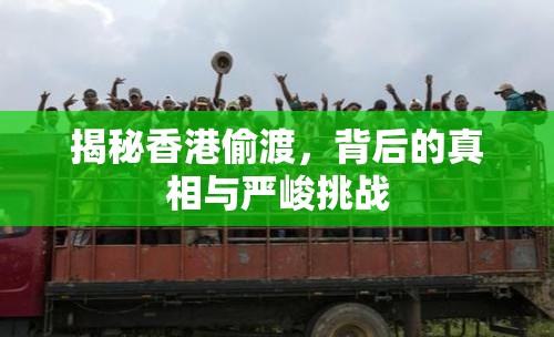 揭秘香港偷渡，背后的真相與嚴(yán)峻挑戰(zhàn)