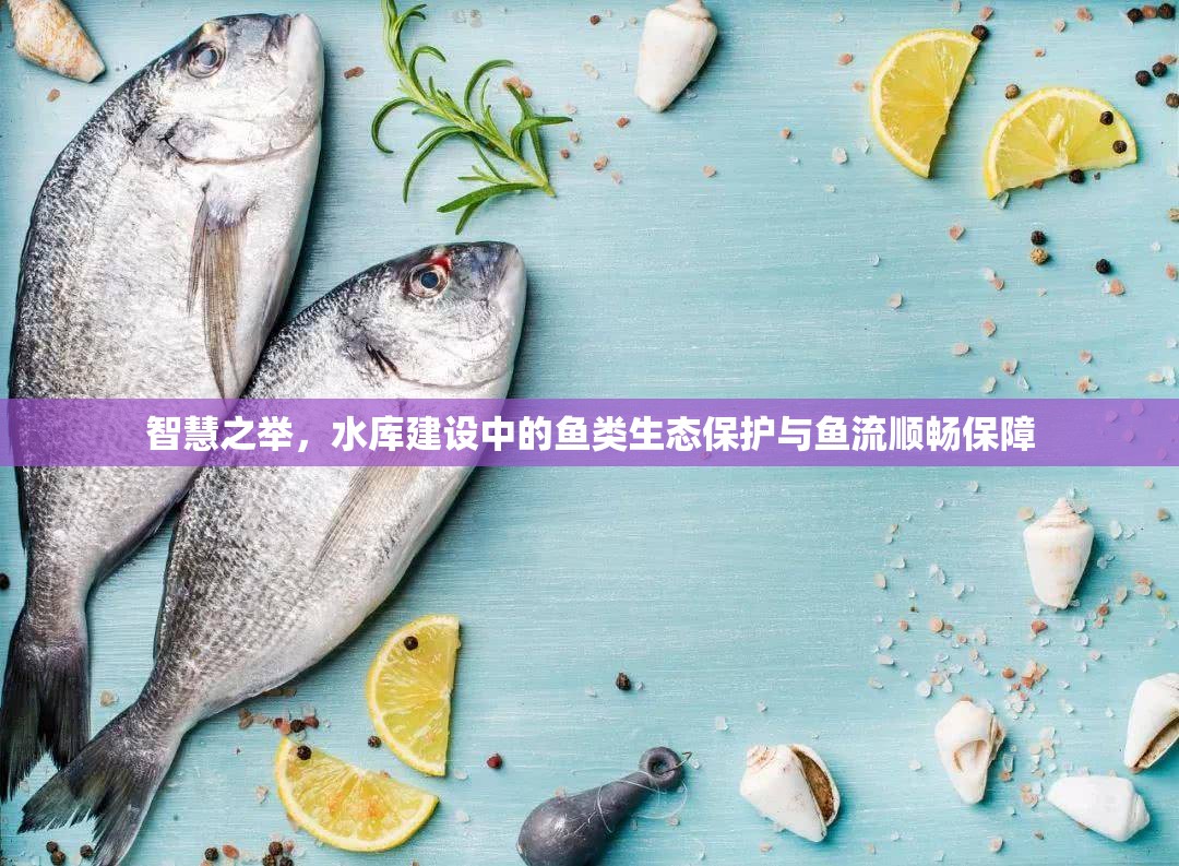 智慧之舉，水庫建設(shè)中的魚類生態(tài)保護與魚流順暢保障