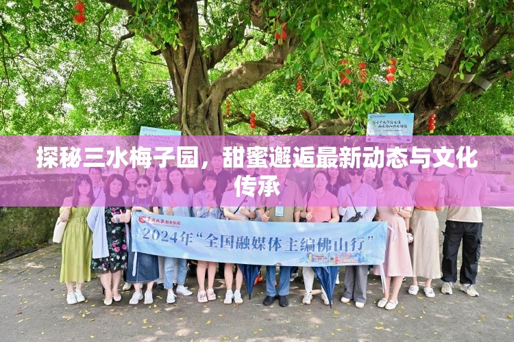 探秘三水梅子園，甜蜜邂逅最新動態(tài)與文化傳承