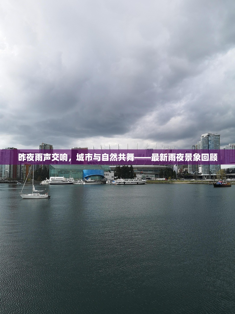 昨夜雨聲交響，城市與自然共舞——最新雨夜景象回顧
