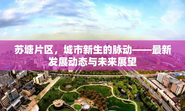蘇塘片區(qū)，城市新生的脈動——最新發(fā)展動態(tài)與未來展望