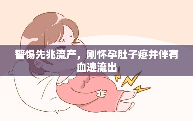 警惕先兆流產(chǎn)，剛懷孕肚子疼并伴有血跡流出