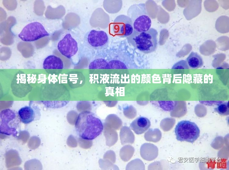 揭秘身體信號，積液流出的顏色背后隱藏的真相