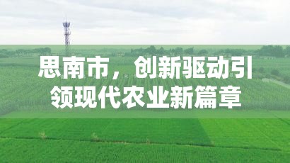 思南市，創(chuàng)新驅(qū)動(dòng)引領(lǐng)現(xiàn)代農(nóng)業(yè)新篇章