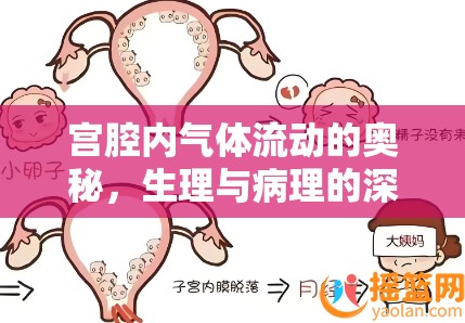 宮腔內(nèi)氣體流動(dòng)的奧秘，生理與病理的深度解析