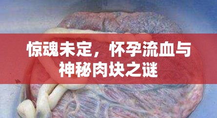驚魂未定，懷孕流血與神秘肉塊之謎