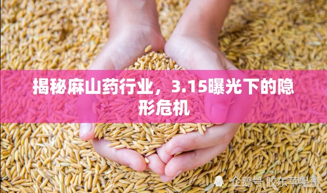 揭秘麻山藥行業(yè)，3.15曝光下的隱形危機(jī)