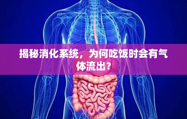 揭秘消化系統(tǒng)，為何吃飯時(shí)會(huì)有氣體流出？