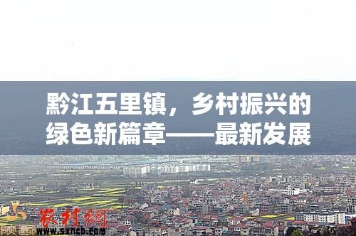 黔江五里鎮(zhèn)，鄉(xiāng)村振興的綠色新篇章——最新發(fā)展動(dòng)態(tài)與未來展望