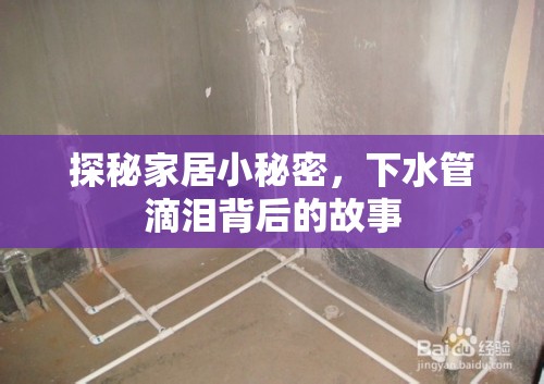 探秘家居小秘密，下水管滴淚背后的故事
