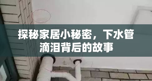 探秘家居小秘密，下水管滴淚背后的故事