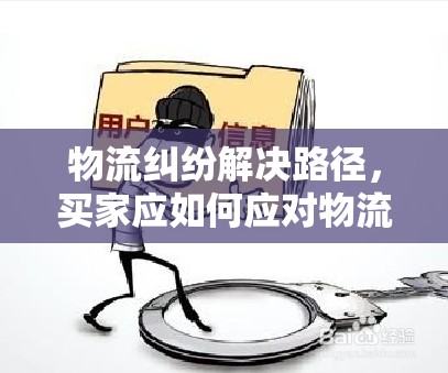 物流糾紛解決路徑，買家應(yīng)如何應(yīng)對物流問題？