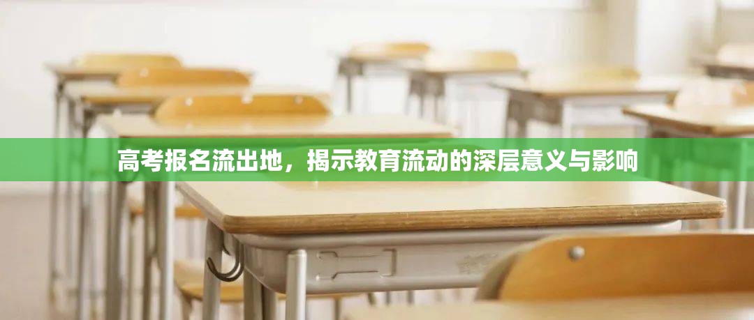 高考報名流出地，揭示教育流動的深層意義與影響