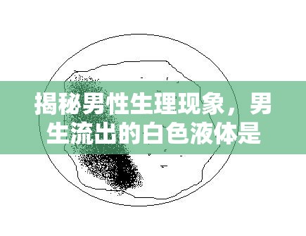 揭秘男性生理現(xiàn)象，男生流出的白色液體是什么？
