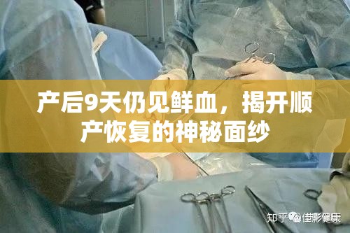 產(chǎn)后9天仍見鮮血，揭開順產(chǎn)恢復(fù)的神秘面紗
