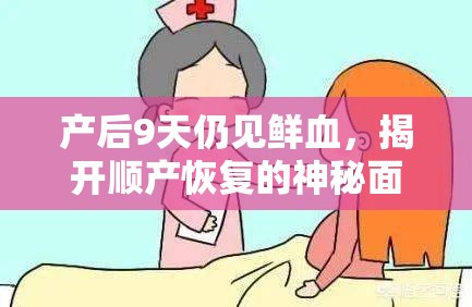 產(chǎn)后9天仍見鮮血，揭開順產(chǎn)恢復(fù)的神秘面紗