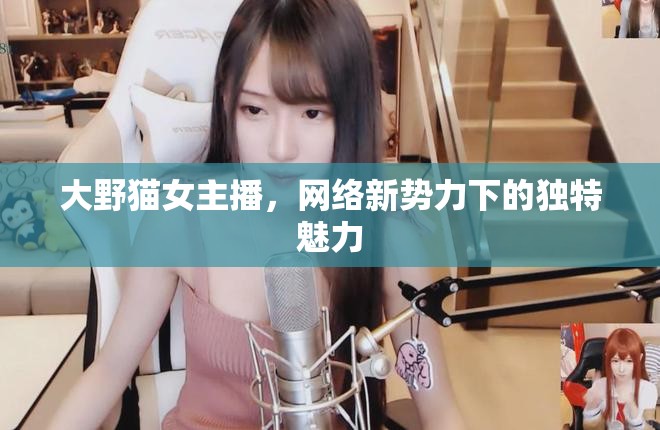 大野貓女主播，網(wǎng)絡新勢力下的獨特魅力