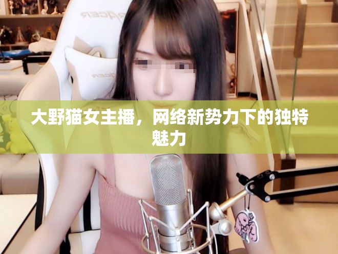 大野貓女主播，網(wǎng)絡新勢力下的獨特魅力