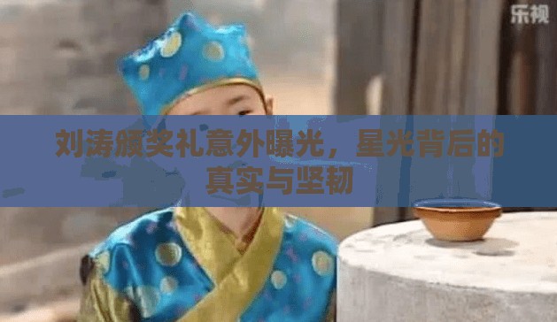 劉濤頒獎禮意外曝光，星光背后的真實與堅韌