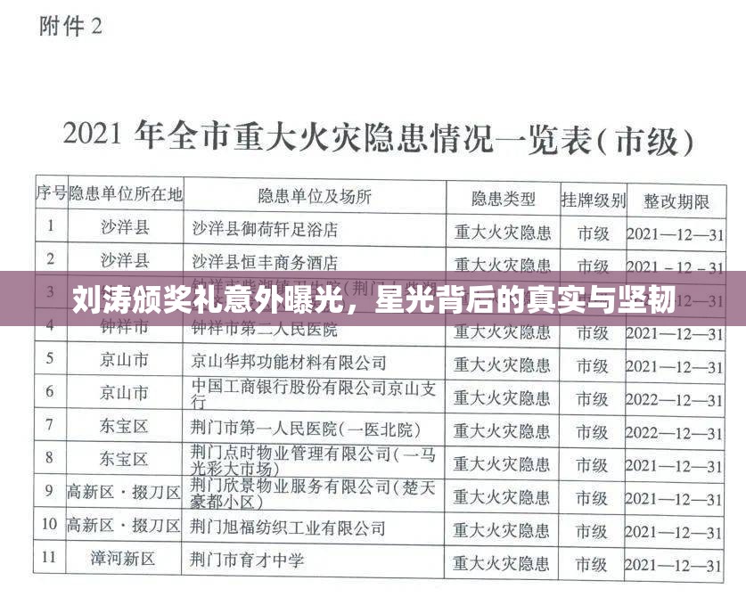 劉濤頒獎禮意外曝光，星光背后的真實與堅韌