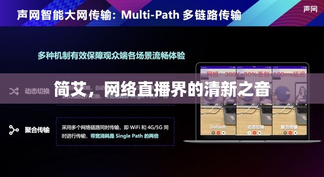 簡(jiǎn)艾，網(wǎng)絡(luò)直播界的清新之音